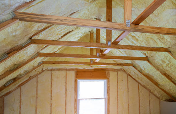 Best Geographic-Specific Insulation Services in Pine Manor, FL