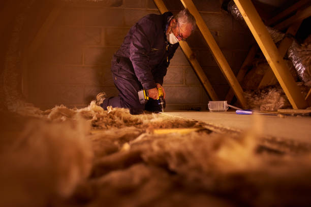Best Blown-in Insulation in Pine Manor, FL